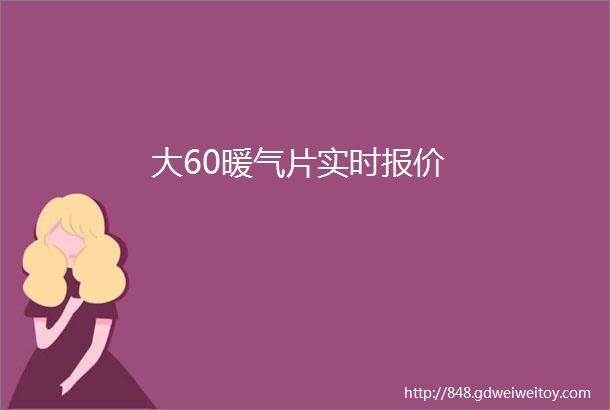 大60暖气片实时报价