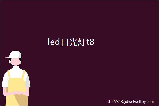 led日光灯t8